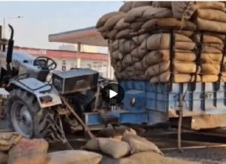 ਝੋਨੇ ਦੀਆਂ ਬੋਰੀਆਂ ਹੇਠ ਦੱਬਿਆ ਟਰੈਕਟਰ-ਟਰਾਲੀ ਚਾਲਕ, ਅਚਾਨਕ ਬ੍ਰੇਕ ਲੱਗਣ ਕਾਰਨ ਟੁੱਟੀਆਂ ਰੱਸੀਆਂ