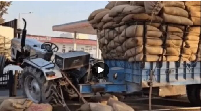 ਝੋਨੇ ਦੀਆਂ ਬੋਰੀਆਂ ਹੇਠ ਦੱਬਿਆ ਟਰੈਕਟਰ-ਟਰਾਲੀ ਚਾਲਕ, ਅਚਾਨਕ ਬ੍ਰੇਕ ਲੱਗਣ ਕਾਰਨ ਟੁੱਟੀਆਂ ਰੱਸੀਆਂ