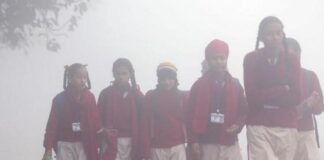 ਪੰਜਾਬ ‘ਚ ਸੀਤ ਲਹਿਰ ਦਾ ਕਹਿਰ ਜਾਰੀ, ਸਕੂਲਾਂ ‘ਚ ਵਧ ਸਕਦੀਆਂ ਨੇ ਸਰਦੀਆਂ ਦੀਆਂ ਛੁੱਟੀਆਂ