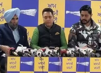 ਨਗਰ ਨਿਗਮ ਚੋਣਾਂ : ‘ਆਪ’ ਵੱਲੋਂ ਅੰਮ੍ਰਿਤਸਰ ‘ਚ ਪਹਿਲੀ ਸੂਚੀ ਜਾਰੀ, 74 ਉਮੀਦਵਾਰਾਂ ‘ਚੋਂ 39 ਔਰਤਾਂ