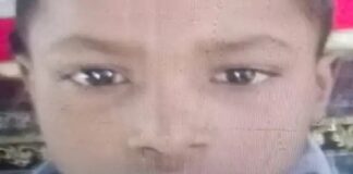 ਦਰਦਨਾਕ ! ਆਵਾਰਾ ਕੁੱਤਿਆਂ ਨੇ ਝੁੰਡ ਨੇ ਬੁਰੀ ਤਰ੍ਹਾਂ ਨੋਚਿਆ 9 ਸਾਲ ਦਾ ਮਾਸੂਮ, ਹਸਪਤਾਲ ਪਹੁੰਚਣ ਤੋਂ ਪਹਿਲਾਂ ਮੌਤ