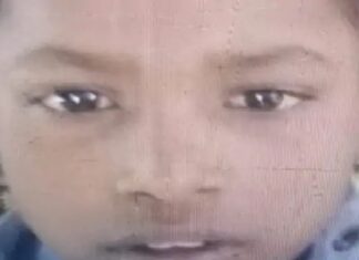 ਦਰਦਨਾਕ ! ਆਵਾਰਾ ਕੁੱਤਿਆਂ ਨੇ ਝੁੰਡ ਨੇ ਬੁਰੀ ਤਰ੍ਹਾਂ ਨੋਚਿਆ 9 ਸਾਲ ਦਾ ਮਾਸੂਮ, ਹਸਪਤਾਲ ਪਹੁੰਚਣ ਤੋਂ ਪਹਿਲਾਂ ਮੌਤ