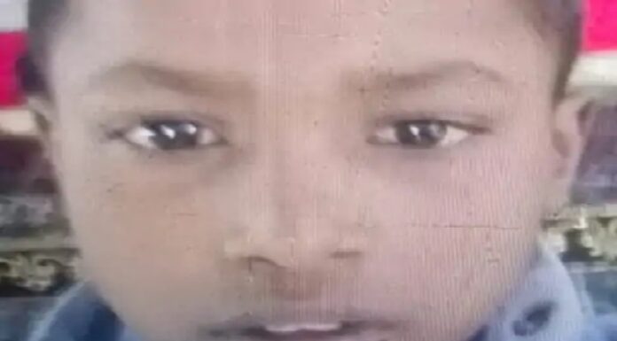 ਦਰਦਨਾਕ ! ਆਵਾਰਾ ਕੁੱਤਿਆਂ ਨੇ ਝੁੰਡ ਨੇ ਬੁਰੀ ਤਰ੍ਹਾਂ ਨੋਚਿਆ 9 ਸਾਲ ਦਾ ਮਾਸੂਮ, ਹਸਪਤਾਲ ਪਹੁੰਚਣ ਤੋਂ ਪਹਿਲਾਂ ਮੌਤ