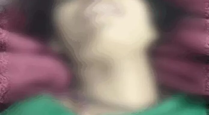 ਲੁਧਿਆਣਾ ‘ਚ ਵਿਆਹੁਤਾ ਨੇ ਘਰ ‘ਚ ਫਾਹਾ ਲੈ ਕੇ ਕੀਤੀ ਖੁਦਕੁਸ਼ੀ, 4 ਮਹੀਨੇ ਪਹਿਲਾਂ ਹੀ ਹੋਇਆ ਸੀ ਵਿਆਹ