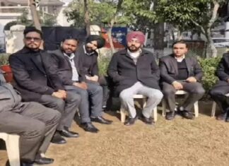 ਲੁਧਿਆਣਾ ‘ਚ ਅੱਜ ਵਕੀਲਾਂ ਦੀ ਹੜਤਾਲ, ਨਹੀਂ ਹੋਵੇਗਾ ਕੋਰਟ ਨਾਲ ਸਬੰਧ ਕੋਈ ਕੰਮ, ਜਾਣੋ ਮਾਮਲਾ