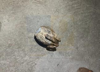 ਜਲੰਧਰ ‘ਚ ਸਕੂਲ ਨੇੜੇ ਗ੍ਰਨੇਡ ਮਿਲਣ ਤੋਂ ਬਾਅਦ ਮੱਚਿਆ ਹੜਕੰਪ, ਪੁਲਿਸ ਨੇ ਇਲਾਕਾ ਕੀਤਾ ਸੀਲ