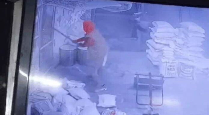 ਲੁਧਿਆਣਾ ‘ਚ ਆਟਾ ਚੱਕੀ ‘ਤੇ ਬਦਮਾਸ਼ਾਂ ਨੇ ਕੀਤਾ ਹਮਲਾ, ਤੇਜ਼ਧਾਰ ਹਥਿਆਰਾਂ ਨਾਲ ਭੰਨੇ ਸ਼ੀਸ਼ੇ