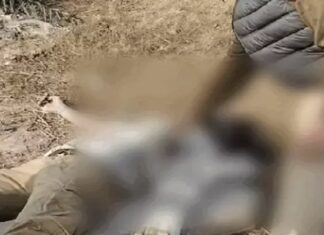 ਲੁਧਿਆਣਾ ‘ਚ ਸ਼ੱਕੀ ਹਾਲਾਤਾਂ ‘ਚ ਨੌਜਵਾਨ ਦੀ ਮੌਤ, ਖੇਤਾਂ ਪਈ ਮਿਲੀ ਲਾਸ਼