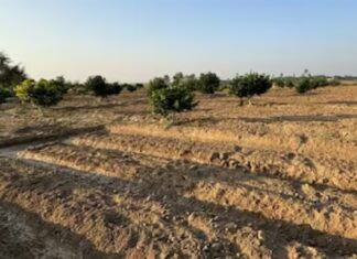 ਪੰਜਾਬ ਦੇ ਕਈ ਖੇਤਰਾਂ ‘ਚ ਜ਼ਮੀਨ ਦੇ ਰੇਟ ਹੋਣਗੇ ਦੁੱਗਣੇ, ਆਈ ਗਈ ਵੱਡੀ ਖਬਰ