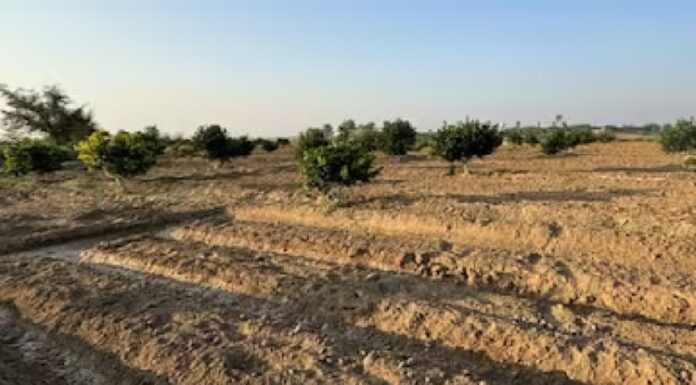 ਪੰਜਾਬ ਦੇ ਕਈ ਖੇਤਰਾਂ ‘ਚ ਜ਼ਮੀਨ ਦੇ ਰੇਟ ਹੋਣਗੇ ਦੁੱਗਣੇ, ਆਈ ਗਈ ਵੱਡੀ ਖਬਰ