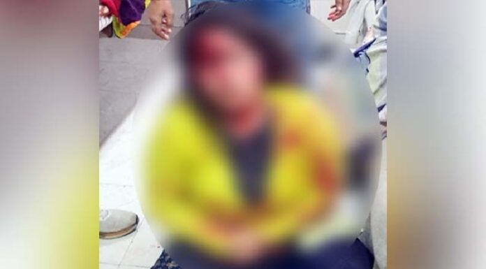 ਲੁਧਿਆਣਾ : 2 ਸਾਲ ਪਹਿਲਾਂ ਕੰਮ ਤੋਂ ਕੱਢਣ ਦੀ ਰੰਜਿਸ਼ ‘ਚ ਨੌਕਰ ਨੇ ਘਰ ਆ ਕੀਤਾ ਚੈਂਕੀਆਂ ਨਾਲ ਹਮਲਾ, ਮਾਂ-ਪੁੱਤ ਗੰਭੀਰ ਜ਼ਖਮੀ