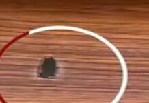 ਮੂਸੇਵਾਲਾ ਦੇ ਕਰੀਬੀ ਪ੍ਰਗਟ ਸਿੰਘ ਦੇ ਘਰ ‘ਤੇ ਚਲਾਈਆਂ ਗੋਲੀਆਂ, 30 ਲੱਖ ਰੁਪਏ ਦੀ ਮੰਗੀ ਫਿਰੌਤੀ, ਲਾਰੈਂਸ ਗਰੁੱਪ ਦਾ ਹੱਥ ਹੋਣ ਦਾ ਦਾਅਵਾ…