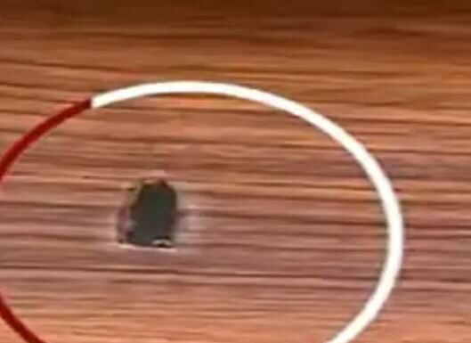 ਮੂਸੇਵਾਲਾ ਦੇ ਕਰੀਬੀ ਪ੍ਰਗਟ ਸਿੰਘ ਦੇ ਘਰ ‘ਤੇ ਚਲਾਈਆਂ ਗੋਲੀਆਂ, 30 ਲੱਖ ਰੁਪਏ ਦੀ ਮੰਗੀ ਫਿਰੌਤੀ, ਲਾਰੈਂਸ ਗਰੁੱਪ ਦਾ ਹੱਥ ਹੋਣ ਦਾ ਦਾਅਵਾ…