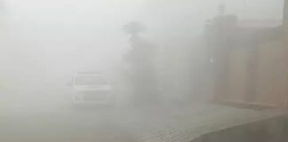 ਲੁਧਿਆਣਾ ‘ਚ ਪੁਲਿਸ ਨੇ ਕਿਸਾਨਾਂ ਦੇ ਧਰਨੇ ‘ਤੇ ਕੀਤੀ ਕਾਰਵਾਈ, ਧਰਨਾ ਖਦੇੜ ਕੇ ਕਈ ਕਿਸਾਨ ਆਗੂ ਕੀਤੇ ਗ੍ਰਿਫਤਾਰ