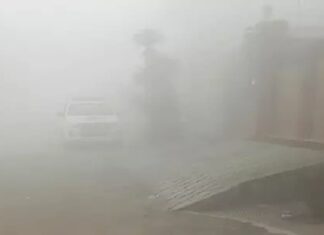 ਲੁਧਿਆਣਾ ‘ਚ ਪੁਲਿਸ ਨੇ ਕਿਸਾਨਾਂ ਦੇ ਧਰਨੇ ‘ਤੇ ਕੀਤੀ ਕਾਰਵਾਈ, ਧਰਨਾ ਖਦੇੜ ਕੇ ਕਈ ਕਿਸਾਨ ਆਗੂ ਕੀਤੇ ਗ੍ਰਿਫਤਾਰ