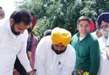 ਸਰਕਾਰੀ ਸਕੂਲਾਂ ਦੇ 44 ਵਿਦਿਆਰਥੀਆਂ ਨੇ ਆਈ.ਆਈ.ਟੀਜ਼. ਵਿੱਚ ਮਾਰੀ ਐਂਟਰੀ, ਪੰਜਾਬ ਸਰਕਾਰ ਵੱਲੋਂ ਅਗਲੇ ਸਾਲ ਗਿਣਤੀ ਦੁੱਗਣੀ ਕਰਨ ਦਾ ਟੀਚਾ
