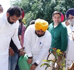 ਸਰਕਾਰੀ ਸਕੂਲਾਂ ਦੇ 44 ਵਿਦਿਆਰਥੀਆਂ ਨੇ ਆਈ.ਆਈ.ਟੀਜ਼. ਵਿੱਚ ਮਾਰੀ ਐਂਟਰੀ, ਪੰਜਾਬ ਸਰਕਾਰ ਵੱਲੋਂ ਅਗਲੇ ਸਾਲ ਗਿਣਤੀ ਦੁੱਗਣੀ ਕਰਨ ਦਾ ਟੀਚਾ