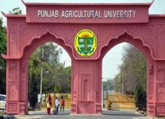 ਪੰਜਾਬ ਖੇਤੀਬਾੜੀ ਯੂਨੀਵਰਸਿਟੀ ਪਹਿਲੀ ਵਾਰ ਚੋਟੀ ਦੀਆਂ 100 ਆਲਮੀ ਖੇਤੀਬਾੜੀ ਵਿਗਿਆਨ ਸੰਸਥਾਵਾਂ ਵਿੱਚ ਸ਼ਾਮਲ