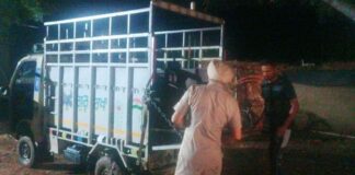 ਨਹਿਰ ‘ਚ ਡਿੱਗਿਆ ਸ਼ਰਧਾਲੂਆਂ ਨਾਲ ਭਰਿਆ ਛੋਟਾ ਹਾਥੀ, 6 ਦੀ ਗਈ ਜਾਨ, ਕਈ ਲਾਪਤਾ