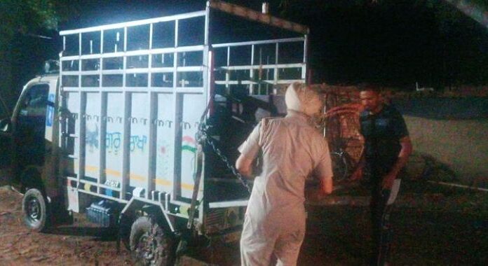 ਨਹਿਰ ‘ਚ ਡਿੱਗਿਆ ਸ਼ਰਧਾਲੂਆਂ ਨਾਲ ਭਰਿਆ ਛੋਟਾ ਹਾਥੀ, 6 ਦੀ ਗਈ ਜਾਨ, ਕਈ ਲਾਪਤਾ