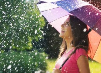 ਪੰਜਾਬ ‘ਚ ਮੌਸਮ ਨੂੰ ਲੈ ਕੇ ਵੱਡੀ ਅਪਡੇਟ, ਜਾਣੋ ਅਗਲੇ ਦਿਨਾਂ ‘ਚ ਕਿਹੋ-ਜਿਹਾ ਰਹੇਗਾ ਮੌਸਮ