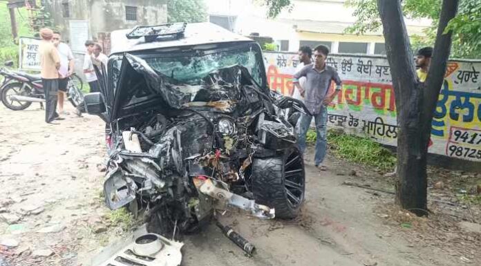 ਮਾਹਿਲਪੁਰ-ਫਗਵਾੜਾ ਰੋਡ ‘ਤੇ ਵੱਡਾ ਹਾਦਸਾ, ਥਾਰ ਗੱਡੀ ਦਰੱਖਤ ਨਾਲ ਟਕਰਾਈ, ਦੋ ਦੀ ਦਰਦਨਾਕ ਮੌਤ