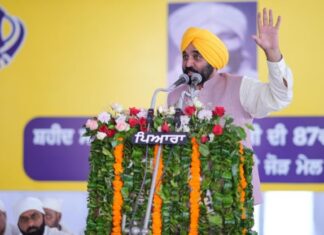 ਪੰਜਾਬ ਪੁਲਿਸ ਨੇ ਬਿਕਰਮ ਮਜੀਠੀਆ ਵਿਰੁੱਧ 40 ਹਜ਼ਾਰ ਸਫ਼ਿਆਂ ਦੀ ਚਾਰਜਸ਼ੀਟ ਦਾਇਰ ਕੀਤੀ, 700 ਕਰੋੜ ਦੀ ਬੇਨਾਮੀ ਸੰਪਤੀ ਦਾ ਖੁਲਾਸਾ