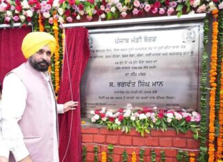 ਪੰਜਾਬ ਹਰ ਖੇਤਰ ਵਿੱਚ ਬੇਮਿਸਾਲ ਵਿਕਾਸ ਦੇਖ ਰਿਹੈ: ਮੁੱਖ ਮੰਤਰੀ