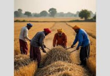 ਪੰਜਾਬ ਸਰਕਾਰ ਵੱਲੋਂ ਸਹਿਕਾਰੀ ਬੈਂਕਾਂ ਰਾਹੀਂ ਫ਼ਸਲੀ ਰਹਿੰਦ-ਖੂੰਹਦ ਪ੍ਰਬੰਧਨ ਕਰਜ਼ਾ ਯੋਜਨਾ ਸ਼ੁਰੂ