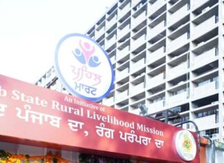 ਭਗਵੰਤ ਮਾਨ ਸਰਕਾਰ ਦੀ ਪੇਂਡੂ ਹੁਨਰ ਅਤੇ ਮਹਿਲਾ ਸਸ਼ਕਤੀਕਰਨ ਲਈ ਨਵੀਂ ਸ਼ੁਰੂਆਤ; ‘ਪਹਿਲ ਮਾਰਟ’ ਨਾਲ ਪਿੰਡਾਂ ਦੀਆਂ ਔਰਤਾਂ ਬਣਨਗੀਆਂ ਆਤਮ-ਨਿਰਭਰ