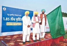 ਹੜ੍ਹਾਂ ਨਾਲ ਤਬਾਹ ਹੋਏ ਕਿਸਾਨਾਂ ਦੇ ਮੋਢੇ ਨਾਲ ਮੋਢਾ ਜੋੜ ਕੇ ਖੜ੍ਹੇ ਹਨ ਮੁੱਖ ਮੰਤਰੀ ਮਾਨ: 1.85 ਲੱਖ ਕੁਇੰਟਲ ਕਣਕ ਦਾ ਬੀਜ ਕਿਸਾਨਾਂ ਤੱਕ ਪਹੁੰਚਾਇਆ, ਲਗਭਗ 74 ਕਰੋੜ ਰੁਪਏ ਕੀਤੇ ਖਰਚ, ਮੁੱਖ ਮੰਤਰੀ ਮਾਨ ਨੇ ਖੁਦ 7 ਟਰੱਕਾਂ ਨੂੰ ਦਿਖਾਈ ਹਰੀ ਝੰਡੀ