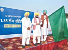 ਹੜ੍ਹਾਂ ਨਾਲ ਤਬਾਹ ਹੋਏ ਕਿਸਾਨਾਂ ਦੇ ਮੋਢੇ ਨਾਲ ਮੋਢਾ ਜੋੜ ਕੇ ਖੜ੍ਹੇ ਹਨ ਮੁੱਖ ਮੰਤਰੀ ਮਾਨ: 1.85 ਲੱਖ ਕੁਇੰਟਲ ਕਣਕ ਦਾ ਬੀਜ ਕਿਸਾਨਾਂ ਤੱਕ ਪਹੁੰਚਾਇਆ, ਲਗਭਗ 74 ਕਰੋੜ ਰੁਪਏ ਕੀਤੇ ਖਰਚ, ਮੁੱਖ ਮੰਤਰੀ ਮਾਨ ਨੇ ਖੁਦ 7 ਟਰੱਕਾਂ ਨੂੰ ਦਿਖਾਈ ਹਰੀ ਝੰਡੀ