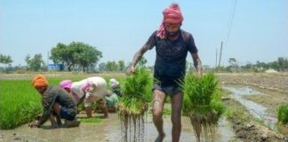 ਮਾਨ ਸਰਕਾਰ ਕਿਸਾਨਾਂ ਦੇ ਨਾਲ: ਧਾਨ ਦੀ ਇਕ-ਇਕ ਬੋਰੀ ਖਰੀਦਣ ਦਾ ਵਾਅਦਾ, ਕਿਸਾਨਾਂ ਨੂੰ ਮਿਲ ਰਹੀ ਪੂਰੀ ਕੀਮਤ