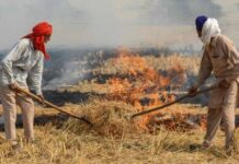 ਪੰਜਾਬ ਵਿੱਚ ਪਰਾਲੀ ਸਾੜਨ ਦੀਆਂ ਘਟਨਾਵਾਂ ਵਿੱਚ 75% ਕਮੀ, ਫਿਰ ਵੀ ਭਾਜਪਾ ਅਤੇ ਦਿੱਲੀ ਸਰਕਾਰ ਦੇ ਨਿਸ਼ਾਨੇ ‘ਤੇ ਪੰਜਾਬ ਦਾ ਕਿਸਾਨ ਕਿਉਂ?