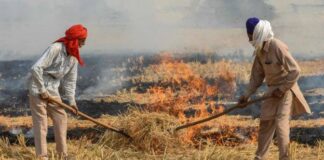 ਪੰਜਾਬ ਵਿੱਚ ਪਰਾਲੀ ਸਾੜਨ ਦੀਆਂ ਘਟਨਾਵਾਂ ਵਿੱਚ 75% ਕਮੀ, ਫਿਰ ਵੀ ਭਾਜਪਾ ਅਤੇ ਦਿੱਲੀ ਸਰਕਾਰ ਦੇ ਨਿਸ਼ਾਨੇ ‘ਤੇ ਪੰਜਾਬ ਦਾ ਕਿਸਾਨ ਕਿਉਂ?
