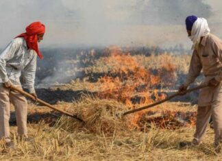 ਪੰਜਾਬ ਵਿੱਚ ਪਰਾਲੀ ਸਾੜਨ ਦੀਆਂ ਘਟਨਾਵਾਂ ਵਿੱਚ 75% ਕਮੀ, ਫਿਰ ਵੀ ਭਾਜਪਾ ਅਤੇ ਦਿੱਲੀ ਸਰਕਾਰ ਦੇ ਨਿਸ਼ਾਨੇ ‘ਤੇ ਪੰਜਾਬ ਦਾ ਕਿਸਾਨ ਕਿਉਂ?