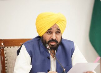 ਨੌਜਵਾਨਾਂ ਨੂੰ ਆਪਣੀਆਂ ਜੜ੍ਹਾਂ ਨਾਲ ਜੋੜੇਗੀ ਪੰਜਾਬ ਸਰਕਾਰ; ਗੁਰੂ ਸਾਹਿਬ ਦੇ ਬਲੀਦਾਨ ਤੋਂ ਪ੍ਰੇਰਣਾ ਲਵੇਗੀ ਨੌਜਵਾਨ ਪੀੜ੍ਹੀ