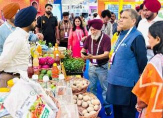 ਮਾਨ ਸਰਕਾਰ ਦਾ ਪਰਿਵਰਤਨਸ਼ੀਲ ਬਦਲਾਅ: ਪੰਜਾਬ ਵਿੱਚ ਫੂਡ ਪ੍ਰੋਸੈਸਿੰਗ ਨੇ ਵਧਾਈ ਕਿਸਾਨਾਂ ਦੀ ਆਮਦਨ, ਪੈਦਾ ਕੀਤੇ ਨਵੇਂ ਰੁਜ਼ਗਾਰ ਦੇ ਮੌਕੇ