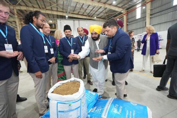 bcac3791-7202-4554-b54d-371c2379ccad