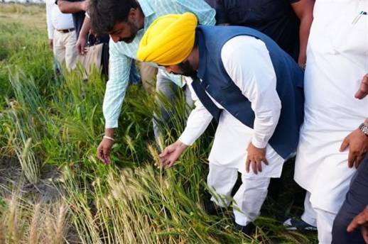 820fa5e5-6adb-4373-8783-2071a7f5f57d