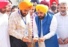 ਮਾਨ ਸਰਕਾਰ ਦਾ ਕਮਾਲ! 150 ਲੱਖ ਮੀਟ੍ਰਿਕ ਟਨ ਝੋਨੇ ਦੀ ਖਰੀਦ ਦਾ ਇਤਿਹਾਸਕ ਰਿਕਾਰਡ! 11 ਲੱਖ ਕਿਸਾਨਾਂ ਨੂੰ ਮਿਲਿਆ ਸਿੱਧਾ ਲਾਭ, ₹34,000 ਕਰੋੜ ਤੋਂ ਵੱਧ ਦਾ ਭੁਗਤਾਨ 48 ਘੰਟਿਆਂ ਵਿੱਚ