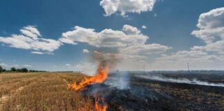 ਕੇਂਦਰ ਸਰਕਾਰ ਨੇ ਕੀਤੀ ਮਾਨ ਸਰਕਾਰ ਦੀ ਪ੍ਰਸ਼ੰਸਾ , ਜਿਸ ਵਿੱਚ ਪੰਜਾਬ ਸਰਕਾਰ ਦੀ ਸਫਲਤਾ ਨੂੰ ਕੀਤਾ ਉਜਾਗਰ , ਜਿਸ ਵਿੱਚ ਕਿਸਾਨਾਂ ਦੇ ਸਹਿਯੋਗ ਨਾਲ ਪਰਾਲੀ ਸਾੜਨ ਵਿੱਚ 85% ਦੀ ਇਤਿਹਾਸਕ ਕਮੀ ਆਈ