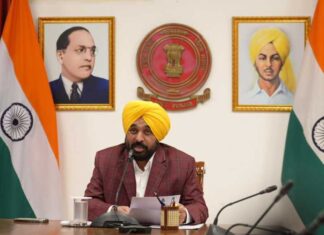 ਮੁੱਖ ਮੰਤਰੀ ਵੱਲੋਂ ਜਾਪਾਨ ਨਾਲ ਮੁੱਖ ਖੇਤਰਾਂ ਵਿੱਚ ਰਣਨੀਤਕ ਭਾਈਵਾਲੀ ਦੀ ਵਕਾਲਤ