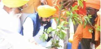 ਮਾਨ ਸਰਕਾਰ ਦਾ ਗ੍ਰੀਨਿੰਗ ਪੰਜਾਬ ਮਿਸ਼ਨ : ਰਿਕਾਰਡ 12,55,700 ਰੁੱਖ ਲਗਾਉਣ ਨਾਲ ਪੰਜਾਬ ਬਣਿਆ ‘ਹਰਿਆਲੀ ਜ਼ੋਨ, ਸੂਬੇ ਦੀ ਸਭ ਤੋਂ ਵੱਡੀ ਵਾਤਾਵਰਣ ਪ੍ਰਾਪਤੀ