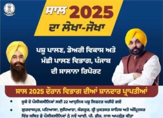 ਮਾਨ ਸਰਕਾਰ ਨੇ ਪੇਂਡੂ ਅਰਥਵਿਵਸਥਾ ਦੀ ਰੀੜ੍ਹ ਦੀ ਹੱਡੀ ਨੂੰ ਕੀਤਾ ਮਜ਼ਬੂਤ : ਹੜ੍ਹ ਸੰਕਟ ਦੌਰਾਨ ਪਸ਼ੂਆਂ ਨੂੰ ਬਚਾਉਣ ਲਈ ਵਿਭਾਗ 24 ਘੰਟੇ ਤਾਇਨਾਤ, 492 ਟੀਮਾਂ, 3.19 ਲੱਖ ਪਸ਼ੂਆਂ ਦਾ ਕੀਤਾ ਇਲਾਜ