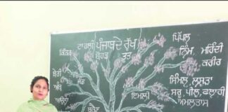 ਮਾਨ ਸਰਕਾਰ ਦੀ ਪ੍ਰੇਰਣਾ ਨਾਲ ਸੋਸ਼ਲ ਮੀਡੀਆ ‘ਤੇ ਗੂੰਜੀ ਮਾਂ-ਬੋਲੀ ਪੰਜਾਬੀ—ਅਧਿਆਪਕਾਂ ਦੀ ਮੁਹਿੰਮ ਨੂੰ ਹਜ਼ਾਰਾਂ ਦਾ ਸਾਥ
