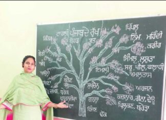 ਮਾਨ ਸਰਕਾਰ ਦੀ ਪ੍ਰੇਰਣਾ ਨਾਲ ਸੋਸ਼ਲ ਮੀਡੀਆ ‘ਤੇ ਗੂੰਜੀ ਮਾਂ-ਬੋਲੀ ਪੰਜਾਬੀ—ਅਧਿਆਪਕਾਂ ਦੀ ਮੁਹਿੰਮ ਨੂੰ ਹਜ਼ਾਰਾਂ ਦਾ ਸਾਥ