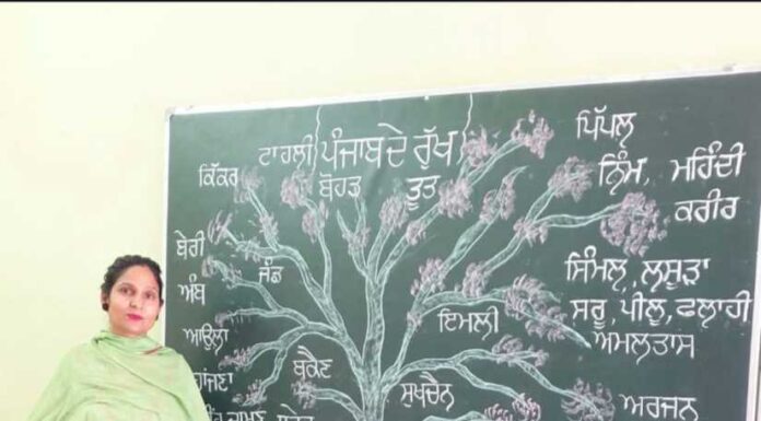 ਮਾਨ ਸਰਕਾਰ ਦੀ ਪ੍ਰੇਰਣਾ ਨਾਲ ਸੋਸ਼ਲ ਮੀਡੀਆ ‘ਤੇ ਗੂੰਜੀ ਮਾਂ-ਬੋਲੀ ਪੰਜਾਬੀ—ਅਧਿਆਪਕਾਂ ਦੀ ਮੁਹਿੰਮ ਨੂੰ ਹਜ਼ਾਰਾਂ ਦਾ ਸਾਥ
