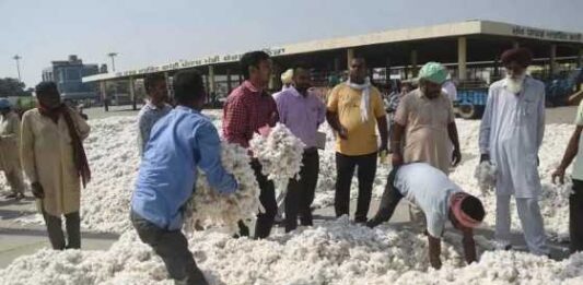 ਮਾਨ ਸਰਕਾਰ ਨੇ ਕਿਸਾਨਾਂ ਨੂੰ ਦਿੱਤੀ ਵੱਡੀ ਰਾਹਤ ! ਸਰਗਰਮ ਪਹਿਲਕਦਮੀਆਂ ਨੇ ਕਪਾਹ ਦੀਆਂ ਕੀਮਤਾਂ ₹5,700 ਤੋਂ ਵਧਾ ਕੇ ₹7,500+ ਕਰ ਦਿੱਤੀਆਂ