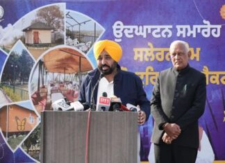 ਪੰਜਾਬ ਵਿੱਚ ਐਸ.ਐਸ.ਐਫ. ਦੇ ਗਠਨ ਤੋਂ ਬਾਅਦ ਸੜਕ ਹਾਦਸਿਆਂ ਵਿੱਚ ਹੁੰਦੀਆਂ ਮੌਤਾਂ ਦੀ ਦਰ ‘ਚ 48 ਫੀਸਦੀ ਕਮੀ ਆਈ, ਹੋਰ ਸੂਬਿਆਂ ਨੇ ਵੀ ਮਾਡਲ ਅਪਣਾਉਣ ਵਿੱਚ ਦਿਲਚਸਪੀ ਦਿਖਾਈ-ਮੁੱਖ ਮੰਤਰੀ ਭਗਵੰਤ ਸਿੰਘ ਮਾਨ